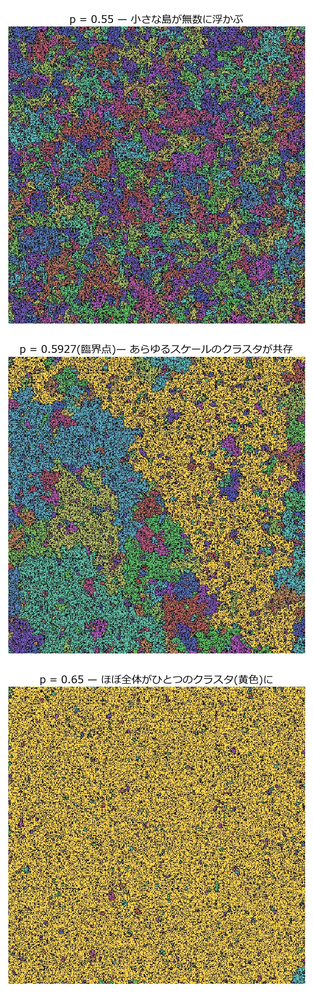 512×512格子のスナップショットを縦に3枚並べた図。上段はp=0.55で、緑・紫・橙・水色などの小さなクラスタが無数に散らばり、どれも画面の一部しか占めない。中段はp=0.5927の臨界点で、画面の広い範囲に黄色の巨大クラスタが広がりつつ、その隙間に大小あらゆるサイズのクラスタが入り混じっている。下段はp=0.65で、画面のほぼ全体が黄色のひとつのクラスタに覆われ、小さな別クラスタがわずかに点在するだけになる
