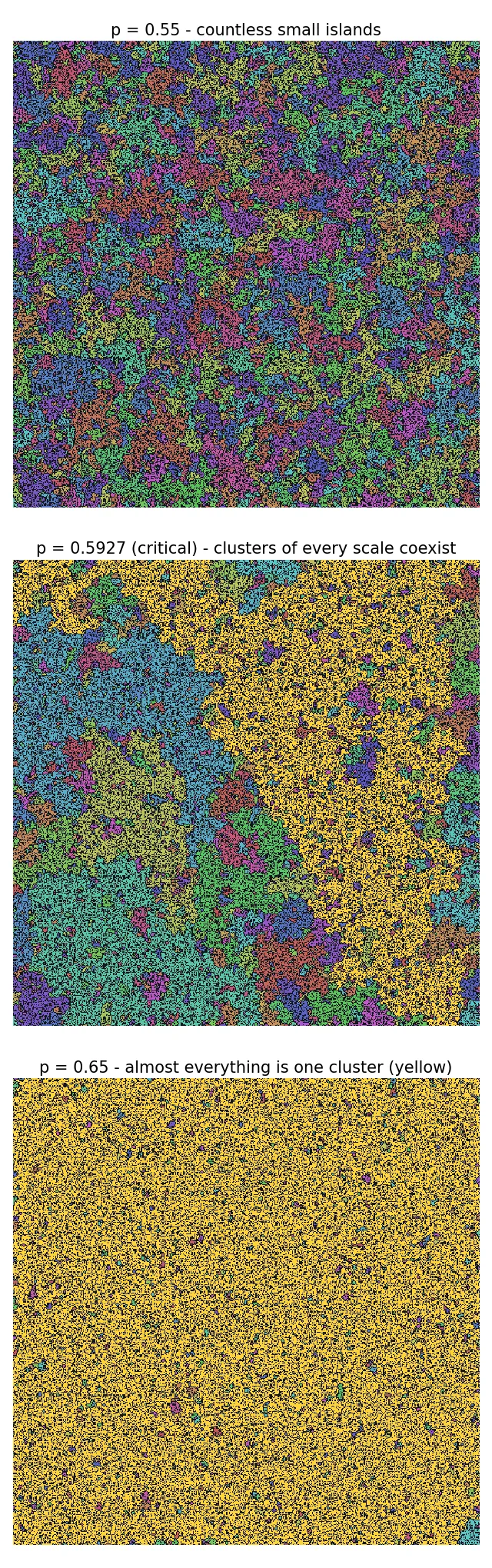 Three stacked snapshots of a 512x512 lattice. The top, at p=0.55, is covered in countless small clusters in green, purple, orange and cyan, none occupying more than a fraction of the frame. The middle, at the critical point p=0.5927, has a large yellow cluster spreading across much of the frame with clusters of every size mixed into the gaps. The bottom, at p=0.65, is almost entirely covered by a single yellow cluster with only a few small separate clusters remaining.