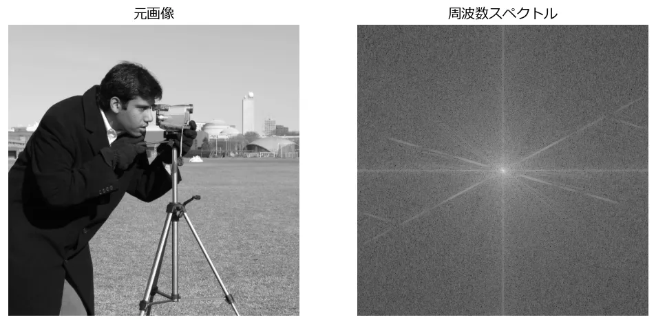 カメラマンの写真と、その周波数スペクトル。中心から水平・垂直方向に十字状の筋が伸びている