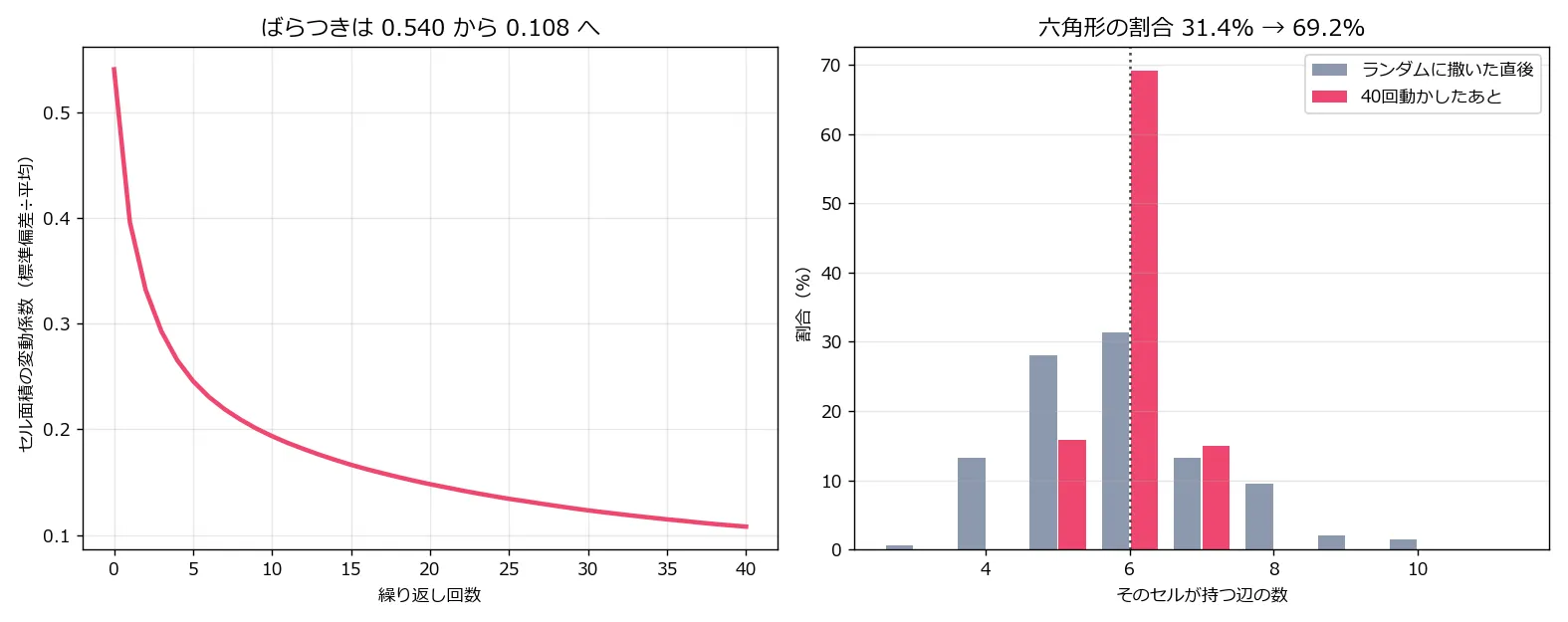 左は繰り返し回数に対するセル面積の変動係数のグラフで、0.540から急降下して0.108へ、後半はなだらかになる。右は各セルが持つ辺の数の分布を比較した棒グラフで、ランダム直後(灰)は4辺から9辺まで広く散らばるが、40回後(赤)は6辺に大きく集中している