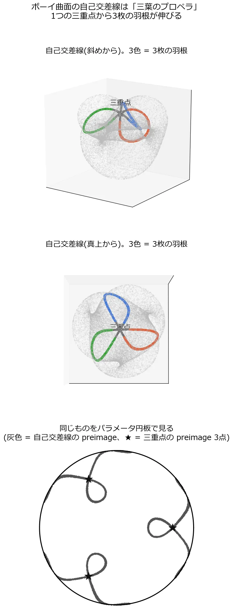 縦3段の図。上段と中段はボーイ曲面を薄い灰色で描き、自己交差線を青・赤・緑の3色で強調した3Dプロット。真上から見ると3枚の羽根がプロペラのように120度対称に配置され、中心の三重点(黒い星印)で交わっている。下段はパラメータ円板上で自己交差線の逆像を灰色で描いたもので、3つの黒い星(三重点の逆像)を通る対称的な曲線パターンになっている