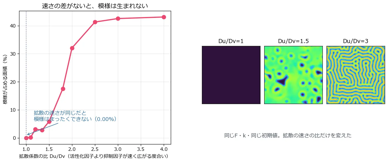 左は拡散係数の比を横軸、模様が占める面積を縦軸にした折れ線グラフ。比が1.0のとき0.00%で、1.5で5.8%、2.0で32.1%、3.0以上で43%前後の頭打ちになる。右には比が1.0、1.5、3.0のときの模様の実物が3枚並んでいて、1.0は真っ暗、1.5はまばらな粒、3.0ははっきりした迷路模様になっている