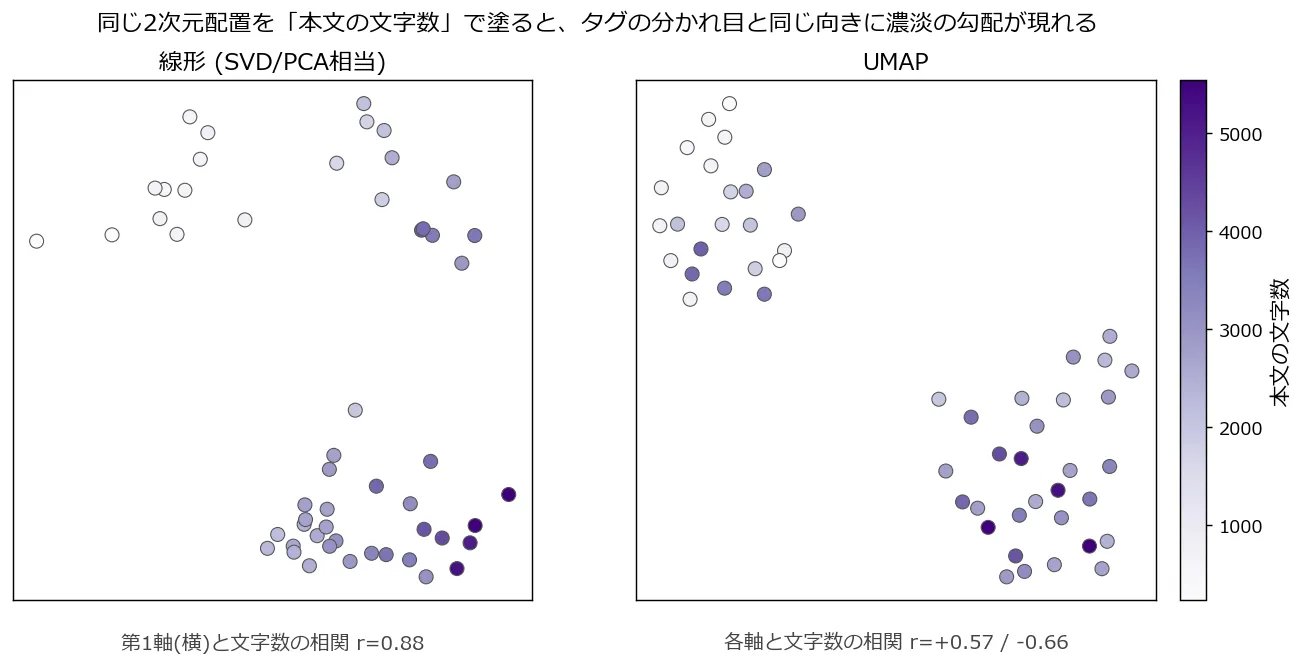 線形次元削減とUMAPの同じ2次元配置を、タグの色ではなく本文の文字数の濃淡(紫のグラデーション、濃いほど長い)で塗り直した散布図。どちらの手法でも、タグの図で青(Claude入門/比較)の塊があった側に薄い色の点、赤(実践記/機械学習)の塊があった側に濃い色の点が集まり、タグの分かれ目とほぼ同じ向きに文字数の勾配が現れている。パネル下の注記として、線形の第1軸と文字数の相関はr=0.88、UMAPは各軸との相関がr=+0.57と-0.66であることが示されている