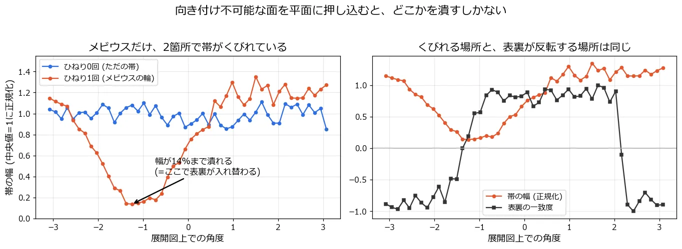 左: 角度ごとの帯の幅(中央値=1に正規化)。ひねり0回は0.85〜1.11でほぼ一定なのに対し、メビウスは反転位置で0.14まで落ち込む。図内注釈「幅が14%まで潰れる(=ここで表裏が入れ替わる)」。右: 幅と表裏一致度を重ねると、くびれる場所と反転する場所が一致している
