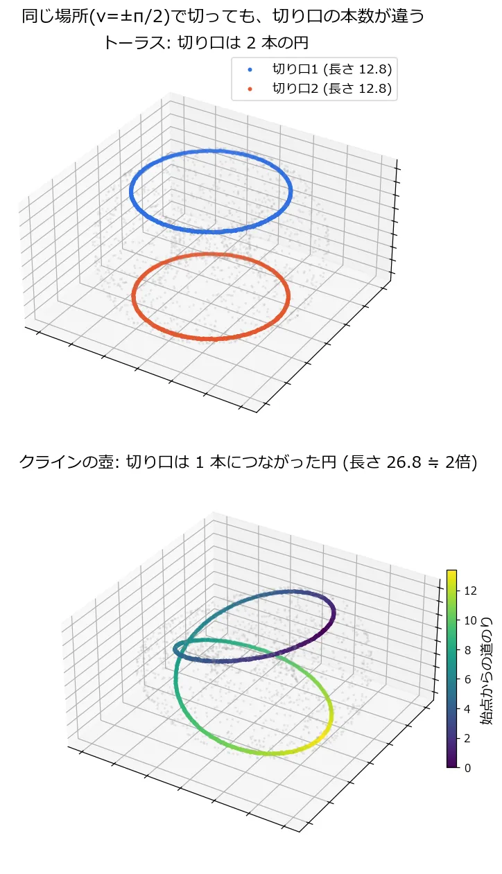 縦に2段並んだ3D図。上段: トーラスを v=±π/2 で切った切り口。青とオレンジの2本の独立した円が上下に平行に並んでおり、それぞれ長さ12.8。下段: クラインの壺(3次元射影)の切り口。始点からの道のりを表すグラデーションで彩色された1本の曲線が、8の字を描くように2周してつながっており、長さは26.8。背景には元の曲面の点群が薄く表示されている
