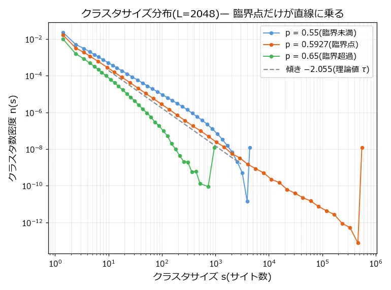 両対数プロット。横軸はクラスタサイズs(1から10^6)、縦軸はクラスタ数密度n(s)。臨界点p=0.5927の橙色の線だけが5桁以上にわたって一直線に伸び、理論傾き-2.055の灰色破線とほぼ平行に走る。臨界未満p=0.55の青線は s=1000あたりで直線から下に折れて急落し、臨界超過p=0.65の緑線はさらに手前のs=100程度で急落する。橙と青の線の右端には、有限サイズ効果による小さな跳ね上がりが見える