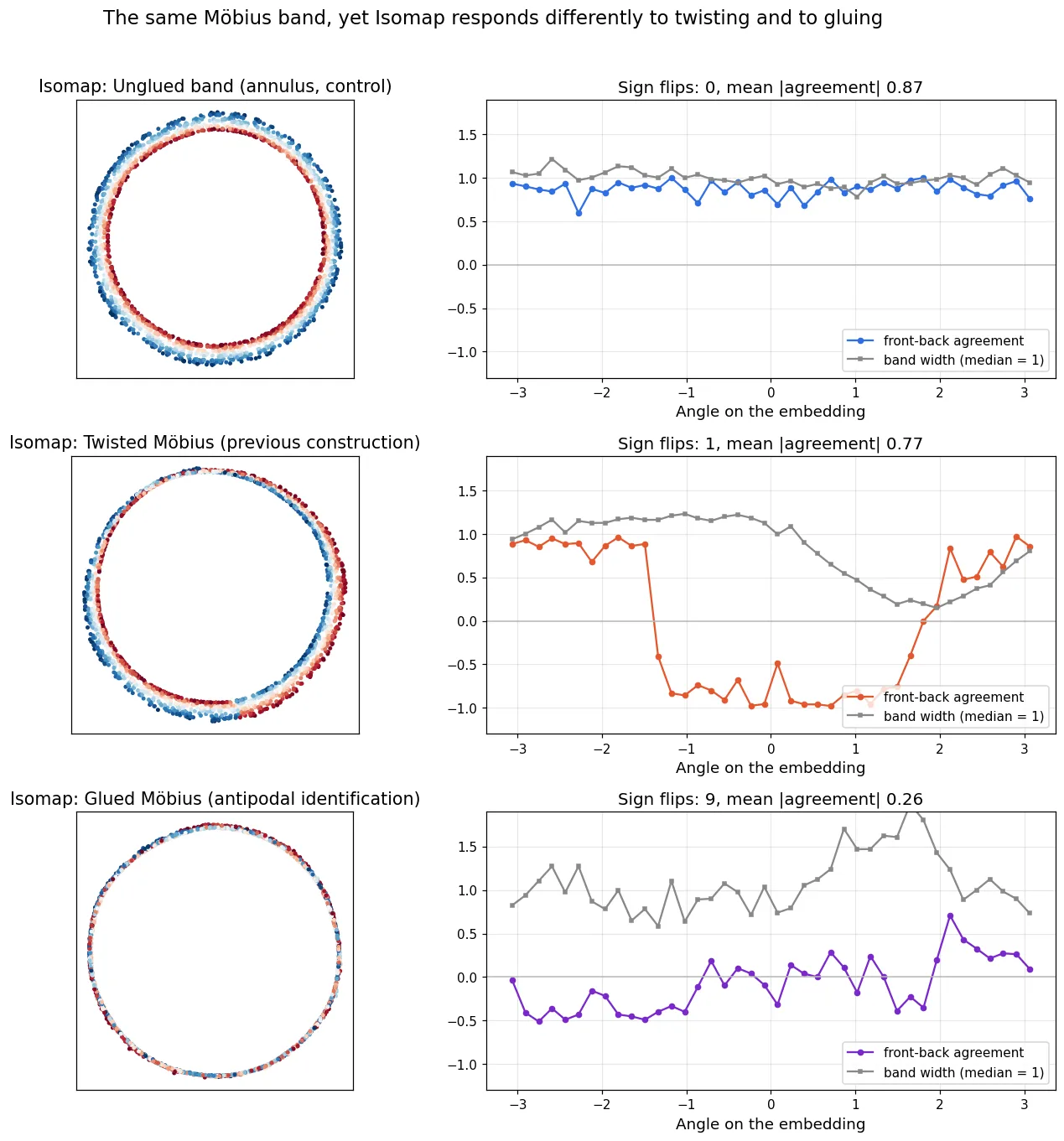 A three-row comparison. Each row has an embedding scatter plot on the left and, on the right, angular profiles of front-back agreement and of band width. Row 1, the unglued band, spreads into a ring with width, red (outer edge) and blue (inner edge) cleanly separated, agreement around +0.9 all the way round and zero flips. Row 2, the twisted Möbius, swaps red and blue partway around the ring, agreement flips from +1 to −1, and the band width is pinched thin at exactly that position. Row 3, the glued Möbius, is a ring as thin as a thread, colors mixed all the way round, agreement thrashing around 0, and width crushed along the entire circumference.