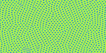 「縞を作れ」と一度も書いていない式から縞が出てくる。チューリングパターンを実装して、拡散の速さを揃えたら模様は消えた