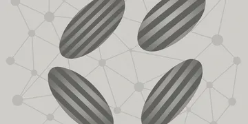 今さらガボールフィルタを触ってみた。画像の「向き」を見るとはどういうことか